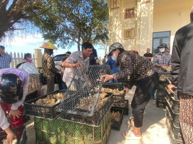 Bàn giao vật tư, con giống cho các hộ tham gia xây dựng mô hình nông nghiệp đảm bảo dinh dưỡng tại xã Giáo Liêm, huyện Sơn Động