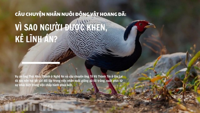 Câu chuyện nhân nuôi động vật hoang dã: Vì sao người được khen, kẻ lĩnh án?