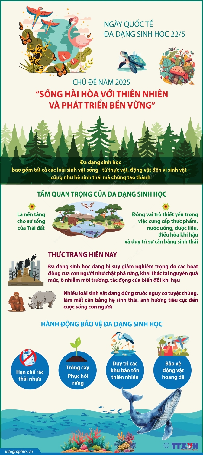 2025 05 19 tg da dang sinh hoc k 02 h84
