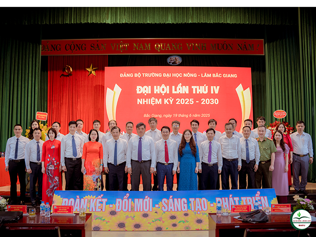 dhdangbo(12)