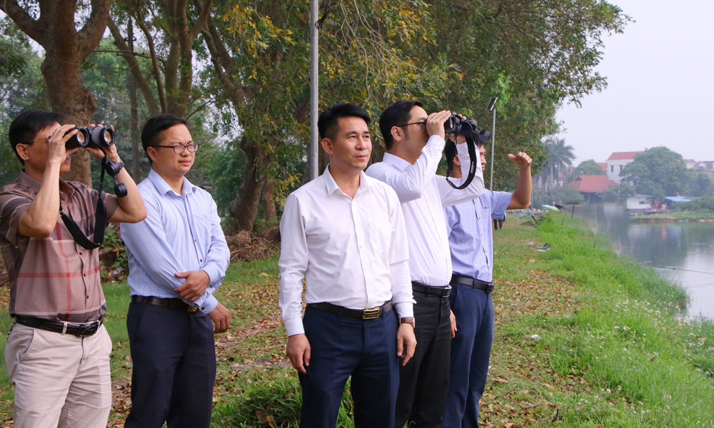 Giữ nhịp cánh chim - nỗ lực bảo tồn hệ sinh thái chim nước